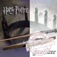 Harry potter presentoir eclair pour baguette Noble Collection -nob07771