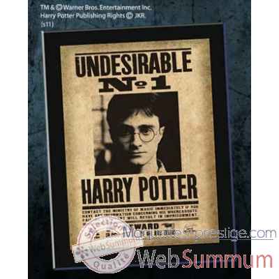 Plaque \\\"undesirable n°1\\\" harry potter Noble Collection -NN7023
